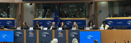 End FGM EU Participates in an Exchange of Views on FGM at the European Parliament